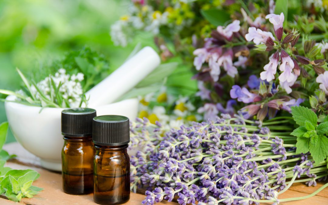 Which is the Best Aromatherapy Diffuser for Your Home?